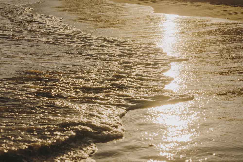 Estrategia Customer centric: INFINITUM Resort