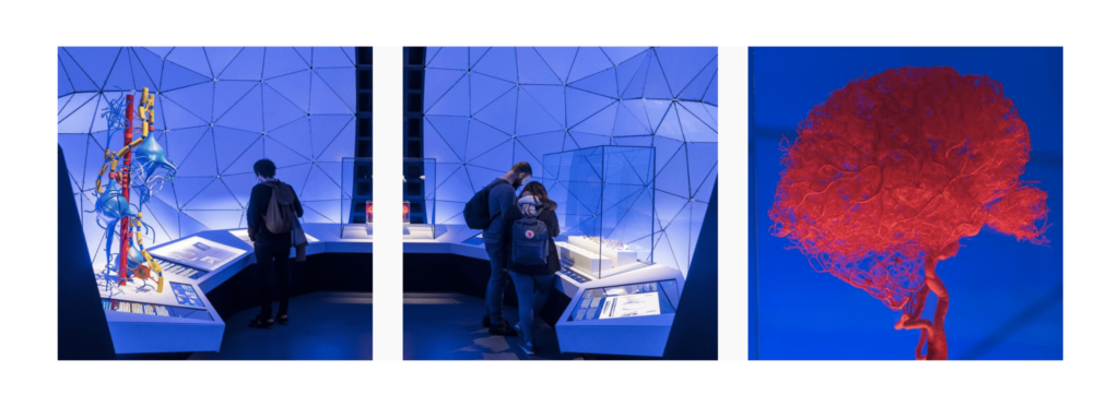 Estrategia Instagram CosmoCaixa