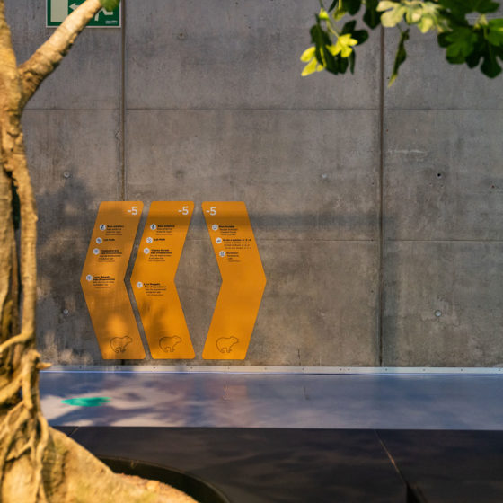 Creatividad - Diseño señalética para Cosmocaixa